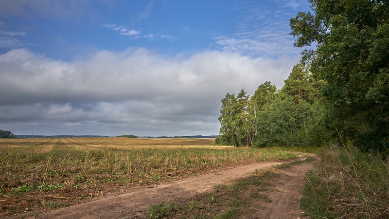 Фото сделанное пользователем Alikbars