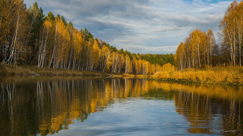 Фото сделанное пользователем Algal60