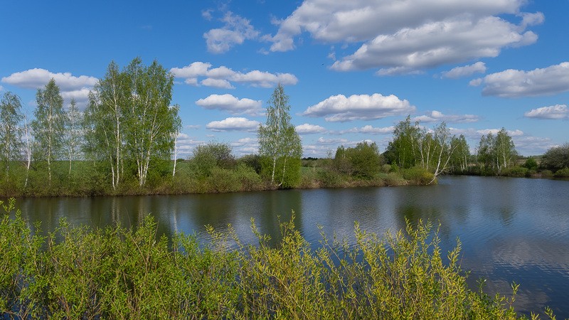 Фото сделанное пользователем nikbologov