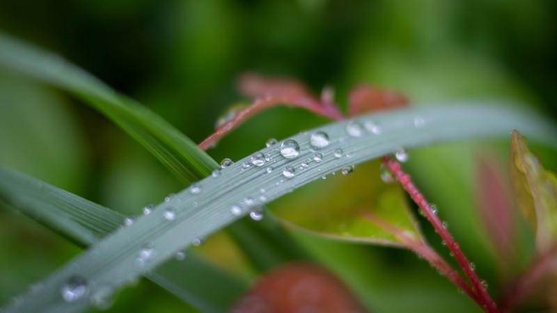 Фото сделанное пользователем Friezzz