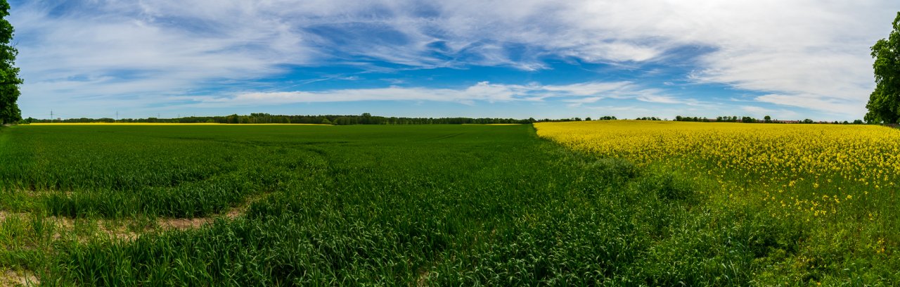 20180505_SpecialCarsBerlin_545-Pano.jpg