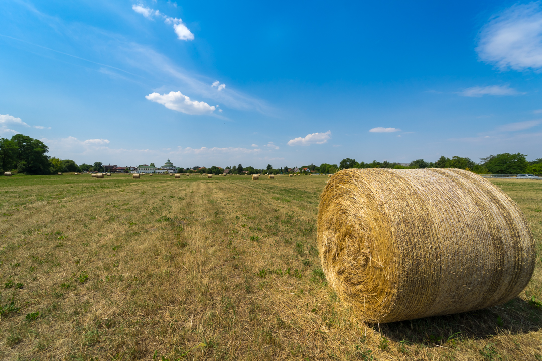 20180705_Senftenberg_845.jpg