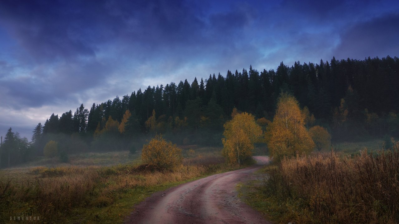 Увидим фотографии. Карелия туман. Карелия осень лес Сумерки. Карелия осень туман. Осенние Сумерки.