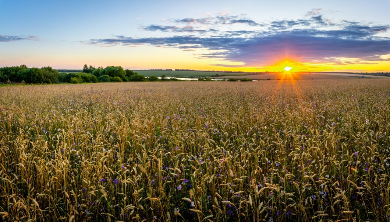 _DSC5088-HDR-панорама-1600x913.jpg