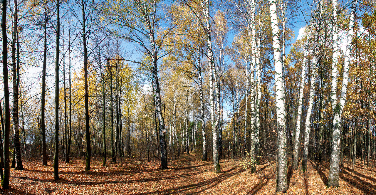 _DSC6283_DxO_1920px-панорама_DxO_1280px.jpg