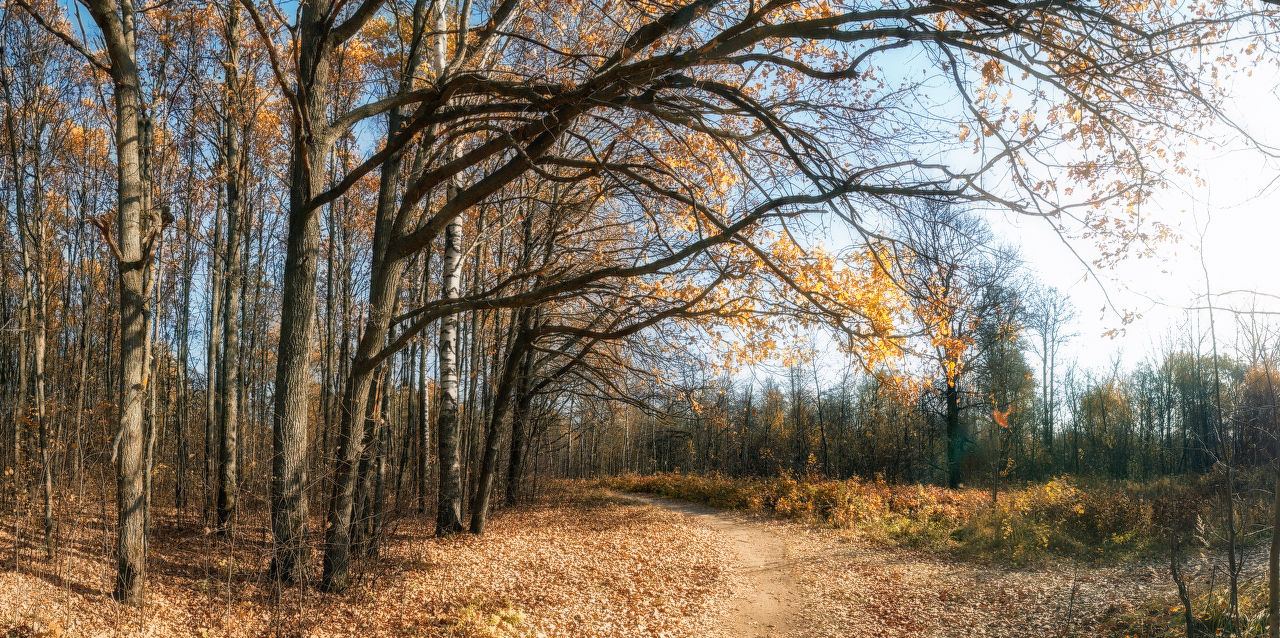 _DSC9706_DxO_1920px-Panorama_DxO-2_1280px.jpg