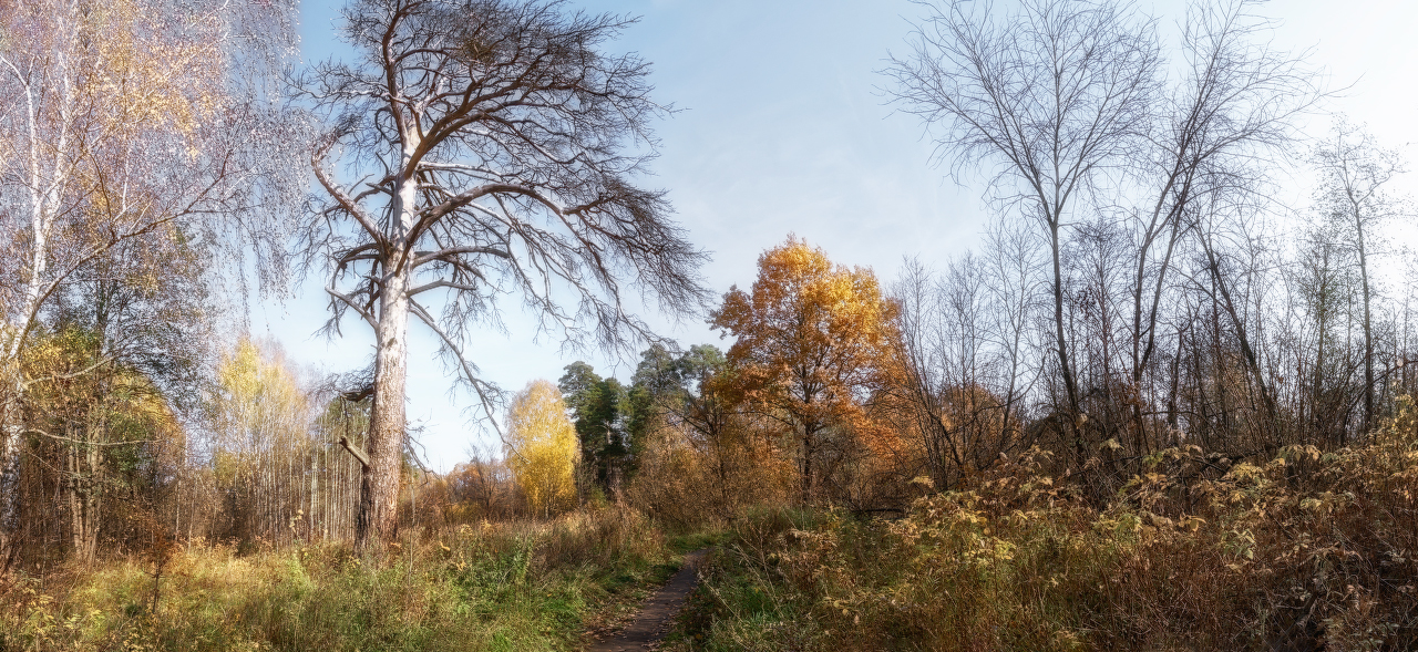 _DSC9713_DxO_1920px-Panorama_DxO_1280px.jpg