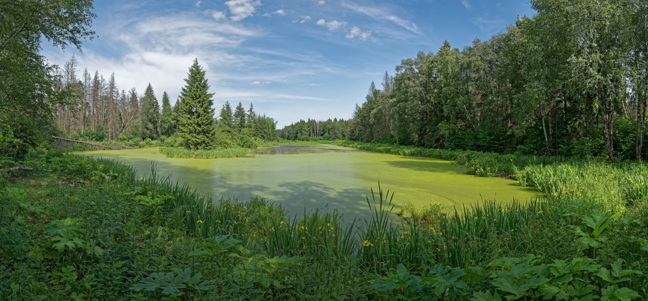 DSC00631_DxO-Pano_10Mb.jpg