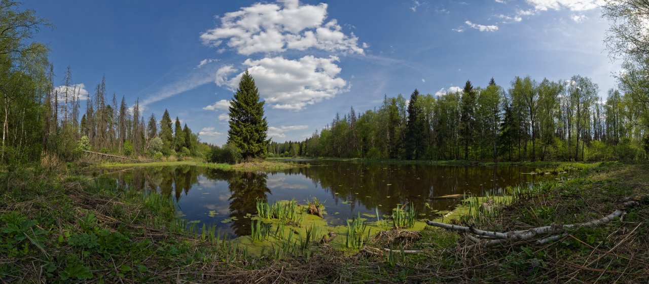 DSC04290_DxO-Pano_10Mb.jpg