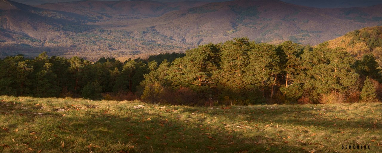 Forest of Basman_Pano web.jpg