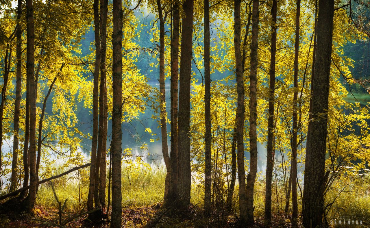 Golden lake coast web.jpg