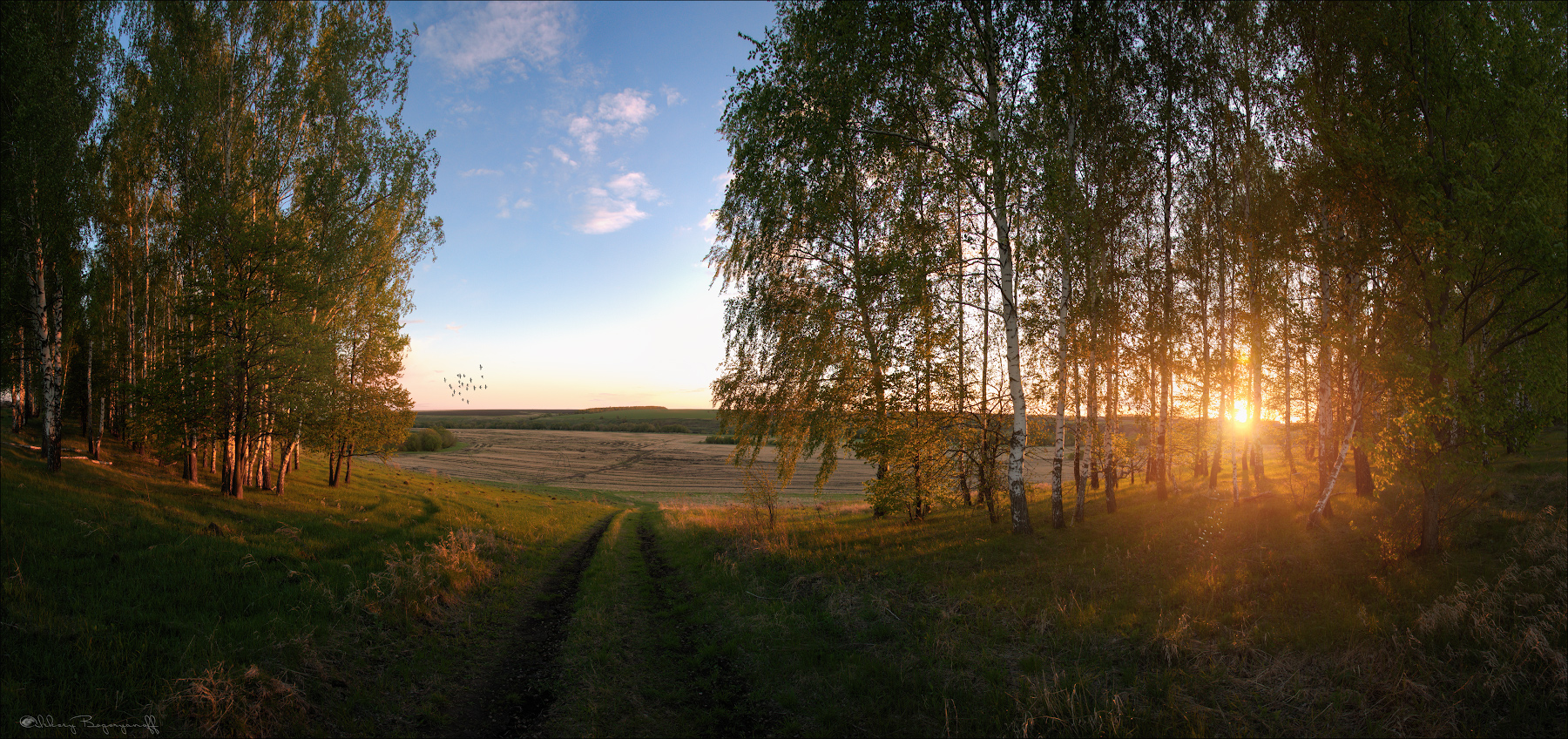 [Group-2]-DSC06354_DSC06359a-6-images.jpg