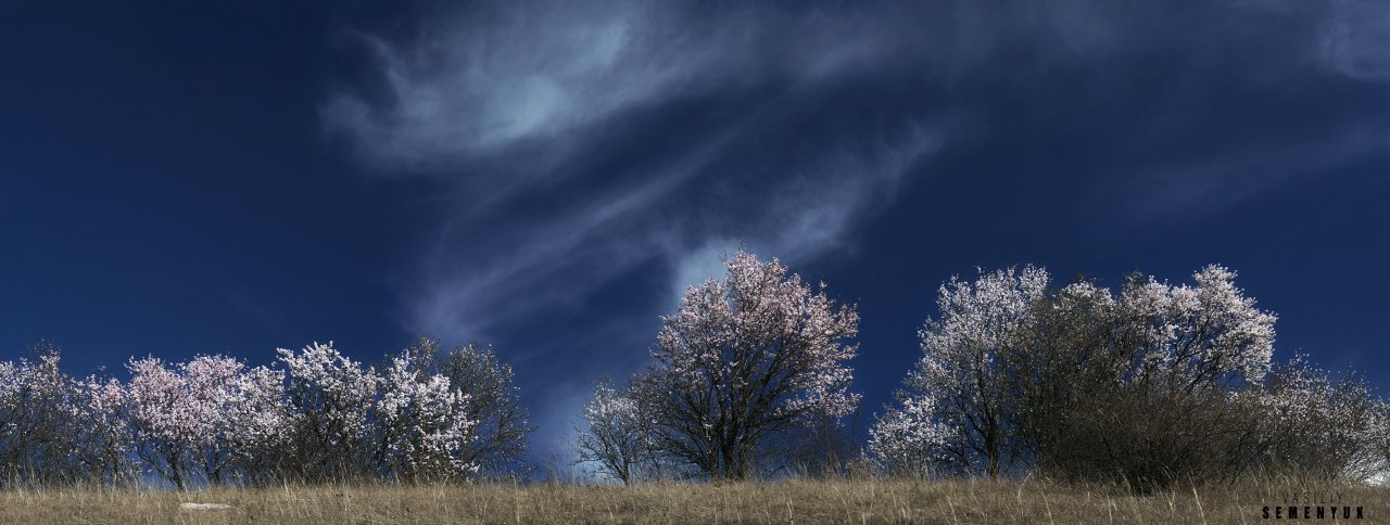 March sky Deep hallow.jpg