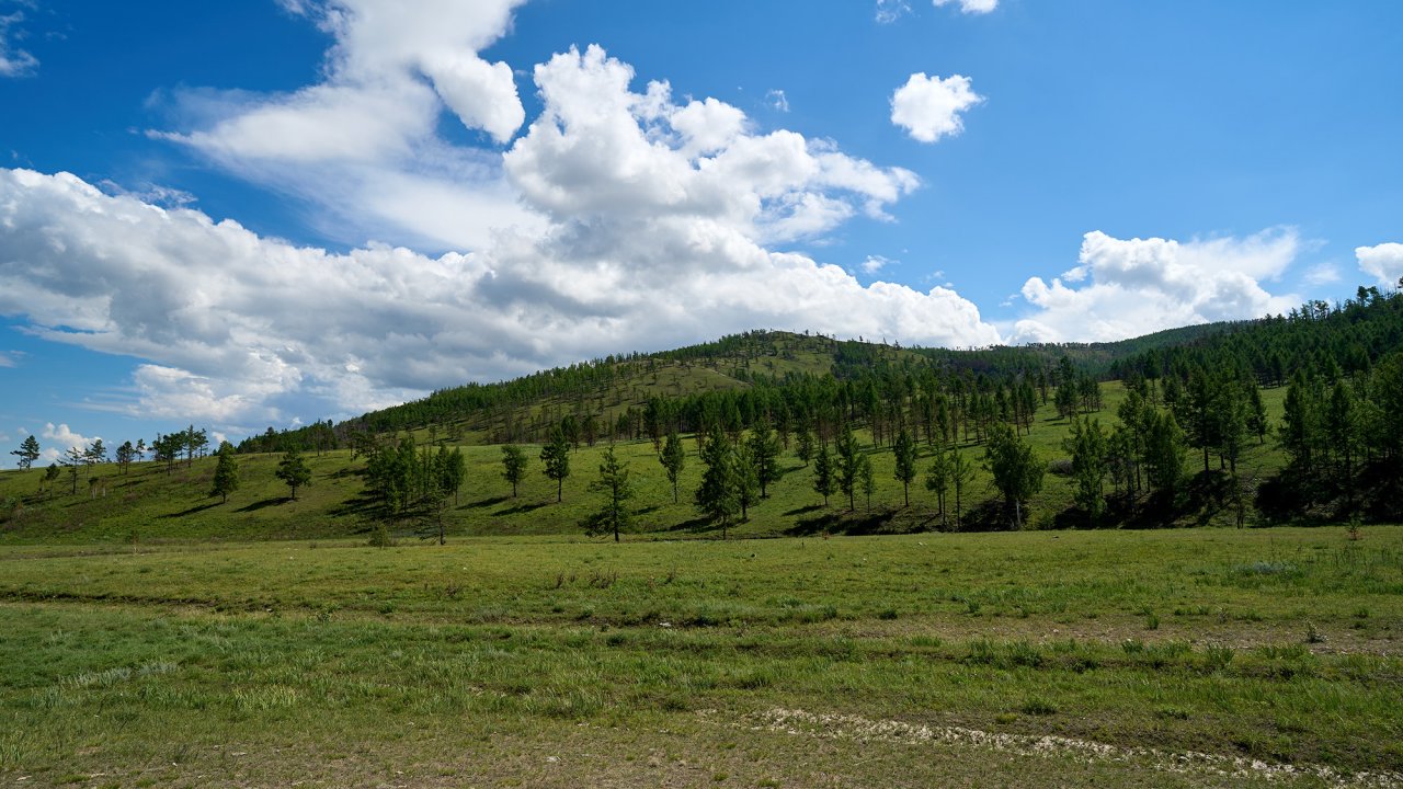 PCT06160-C1.jpg