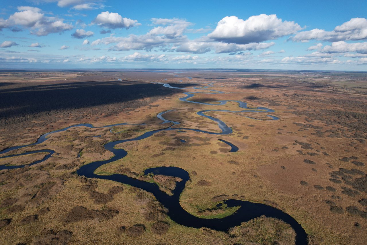 Photo_6553929_DJI_329_jpg_8987620_0_20211016153354_photo_original.jpg