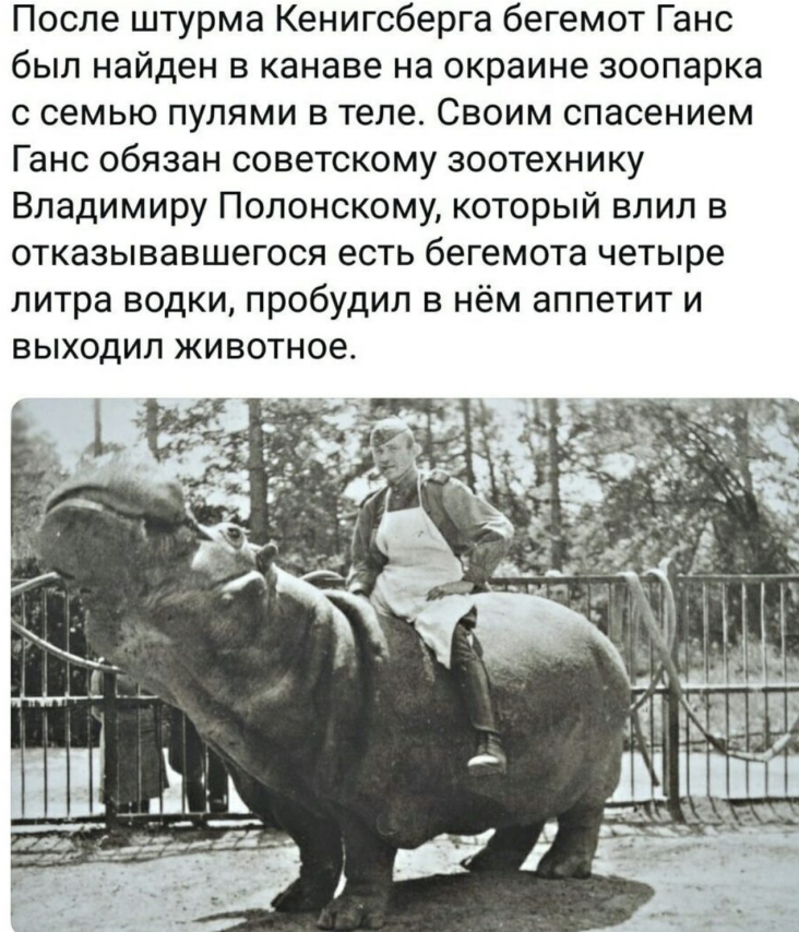 Снимок экрана 2020-05-24 в 07.26.48.png