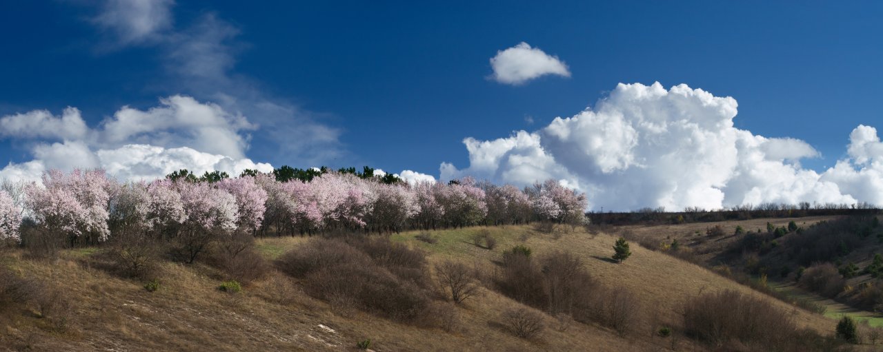 Spring 2016 pano.jpg