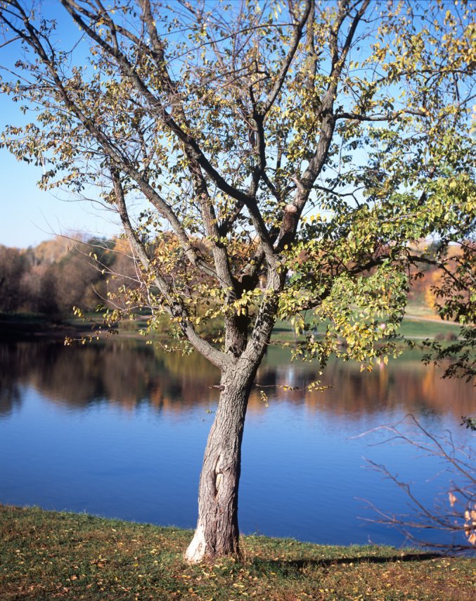 Velvia 100 (2).jpg