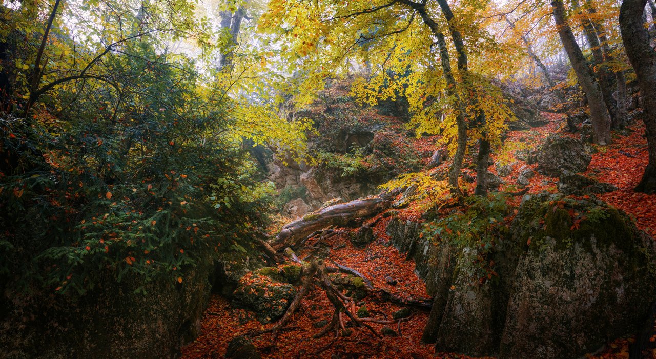 Yew canyon Pano.jpg