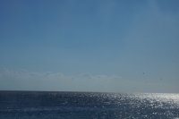DSC05341L.JPG