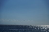 DSC05342L.JPG