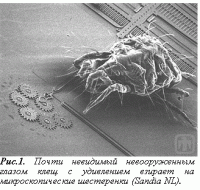 2012_02_10_22_51_www_nanometer_ru_2008_12_18_nanoazbuka_54965_XPROP_IMG_images_2_image002.gif