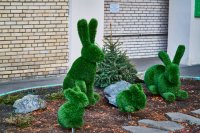 Green rabbits.jpg