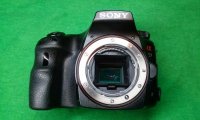 CAM00520.jpg