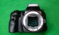 CAM00521.jpg