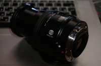 DSC02446.jpg