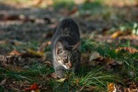 DSC07463.jpg