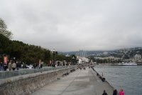 DSC06653.JPG