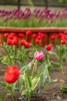 DSC08304.jpg