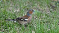 DSC02149_DxO.jpg