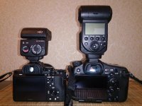 DSC_1252.jpg