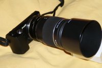 DSC06764.jpg