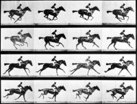 Muybridge.jpg