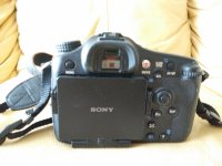 IMG_20170423_151738.jpg