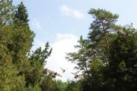 DSC09815.jpg