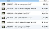 2012-0416-file-sizes-NEF-formats.png