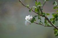DSC05298.JPG