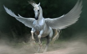 pegass