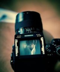 lens porn