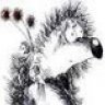 deadhedgehog