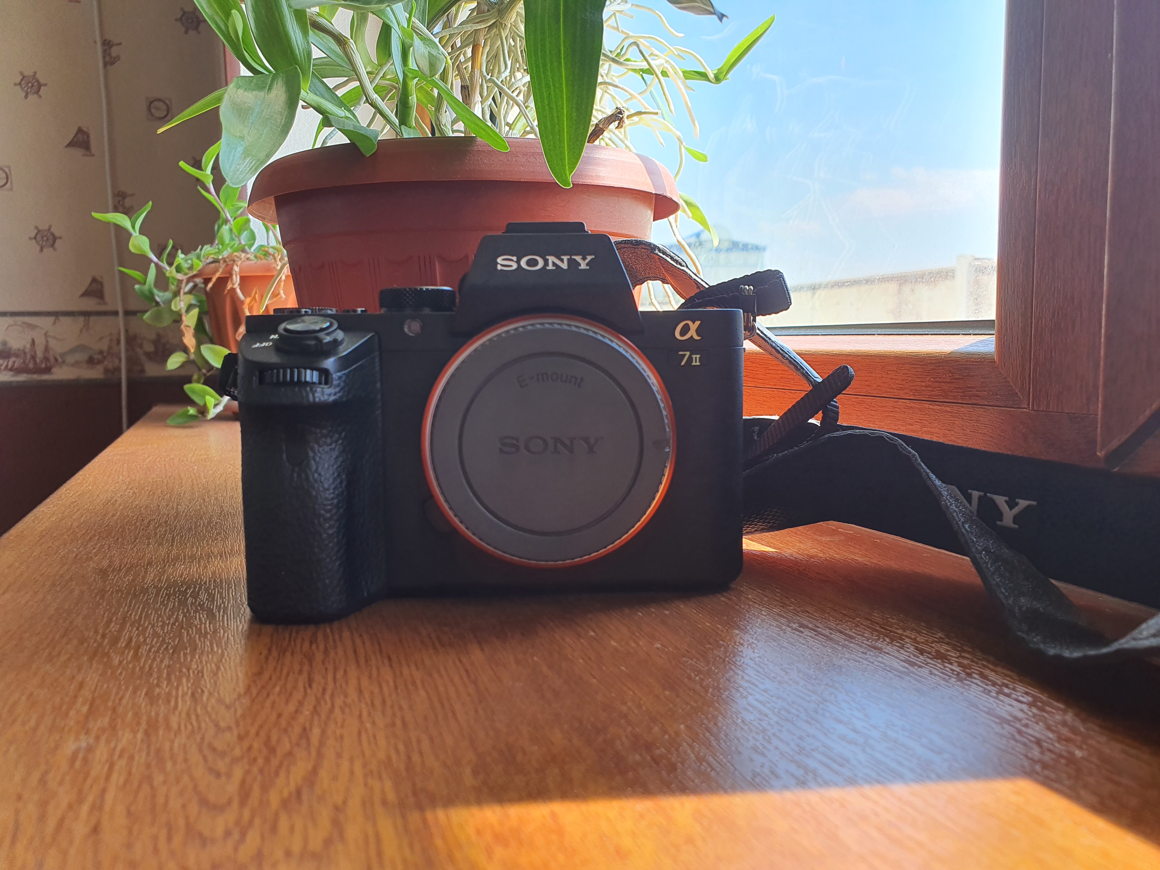 Sony A7M2 body