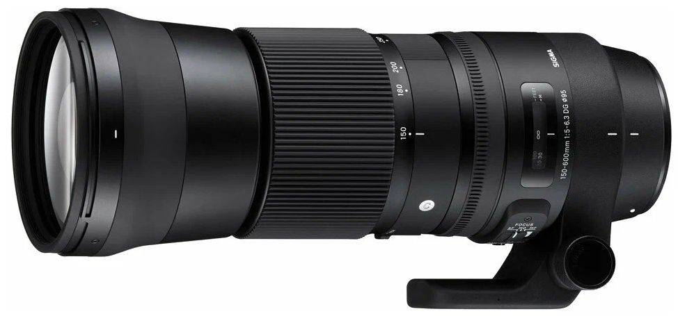 Sigma 150-600mm F5-6.3 DG OS HSM | Contemporary 015