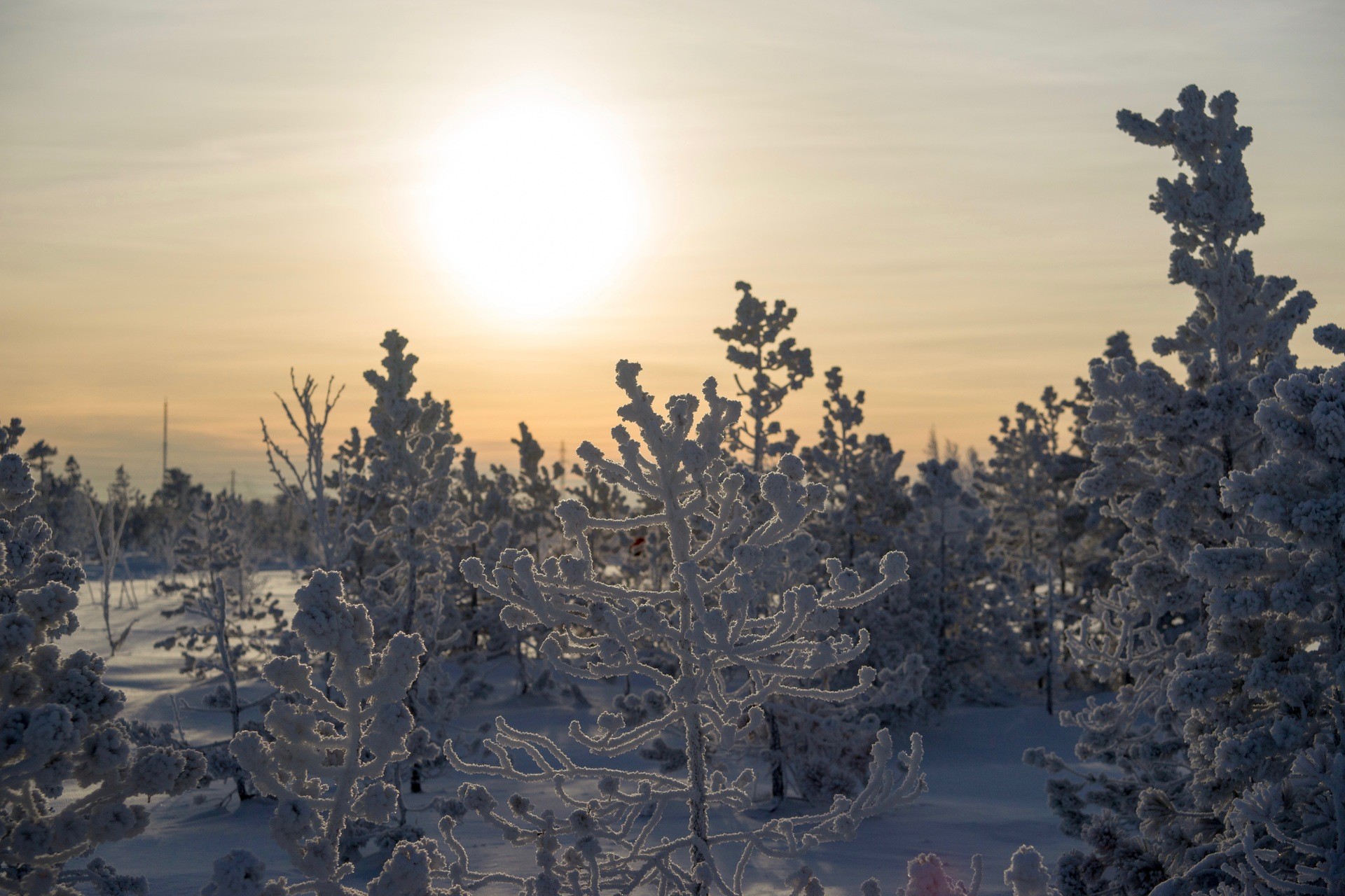 Нижневартовск