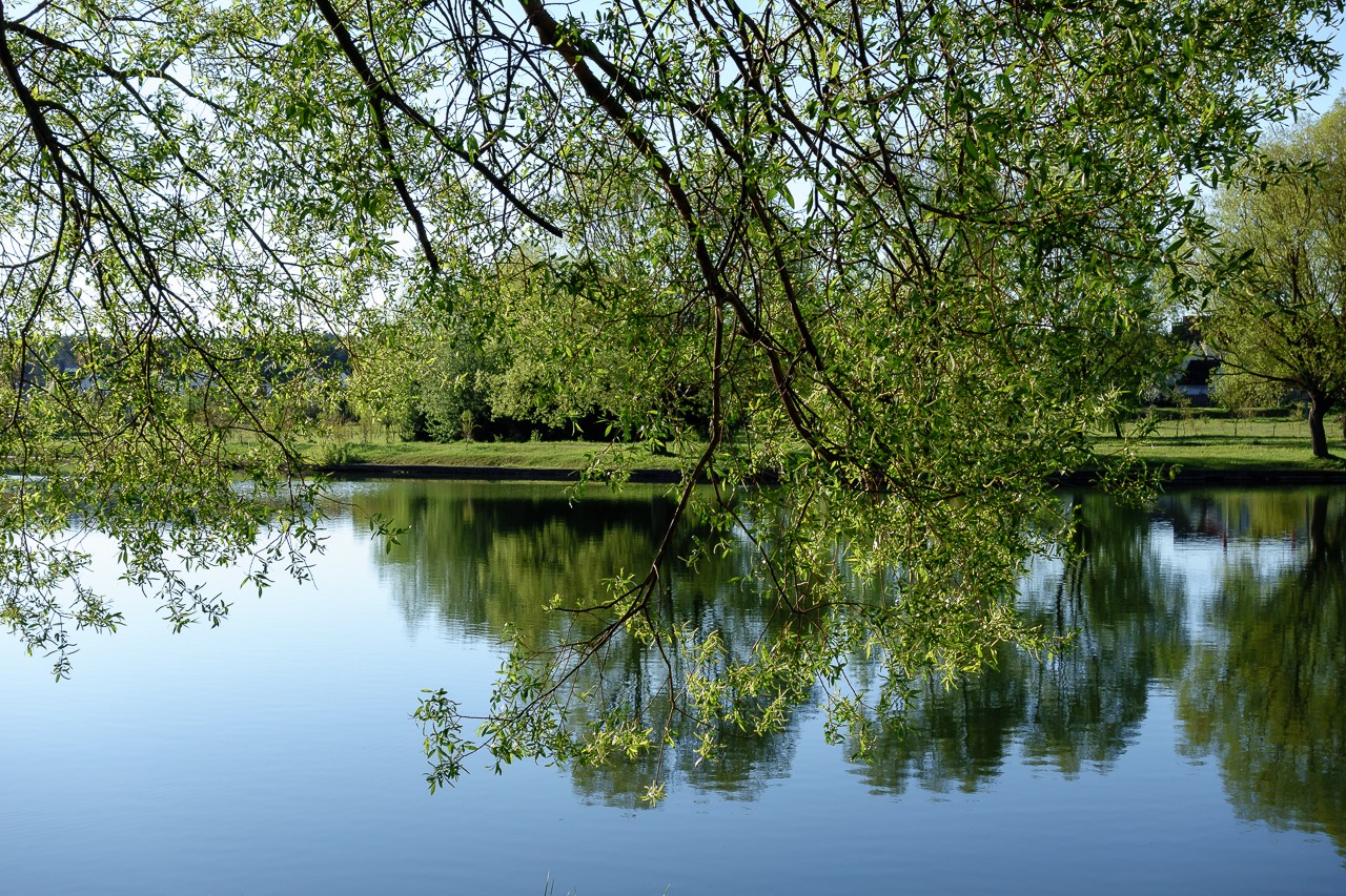 Весенная зелень