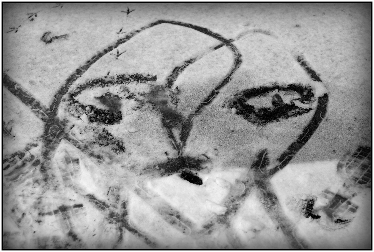 "Снежный портрет"