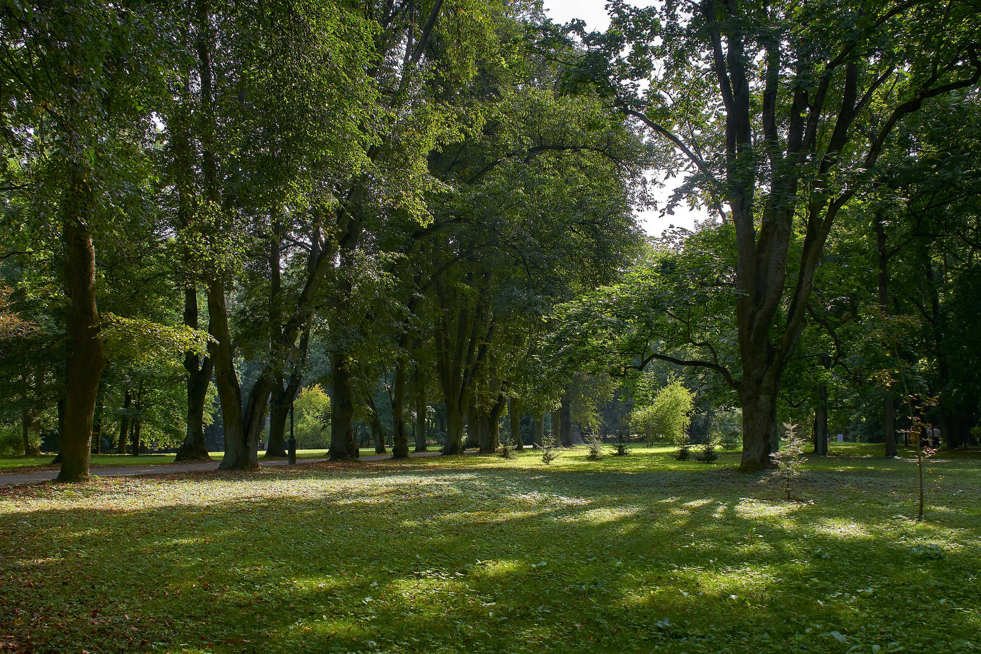 Несвижский дворцово-замковый комплекс - Старый парк